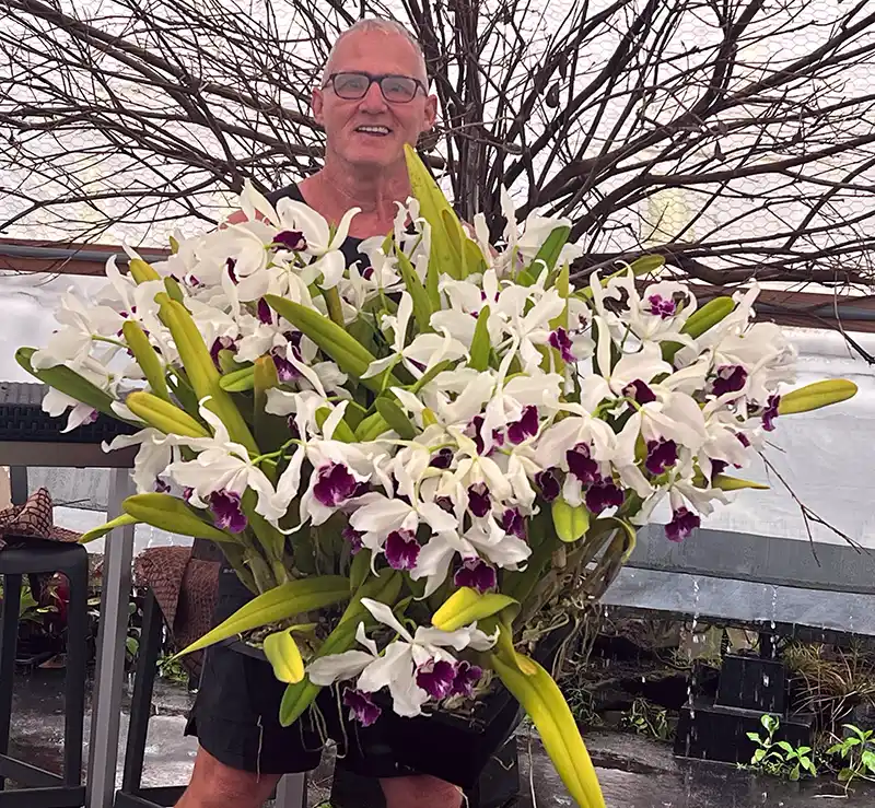 Photo of Mattias Seelis Photo of Mattias Seelis holding very large Cattleya orchid plant